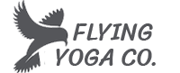 flying-yoga.png